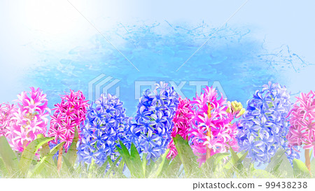 Purple, pink and red hyacinth watercolor 99438238
