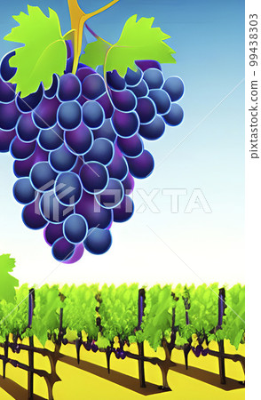 bunch of grapes with green leaves 99438303