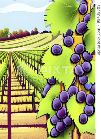 bunch of grapes with green leaves bunch of grapes with green leaves 99438305