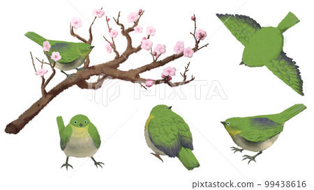 白眼圖素材集 99438616