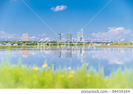 《埼玉縣》見沼稻田埼玉新都心在水稻種植季節映照在稻田中 《埼玉縣》見沼稻田埼玉新都心在水稻種植季節映照在稻田中 99439164