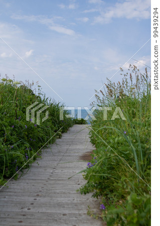 wooden path overlooking the sea 99439294