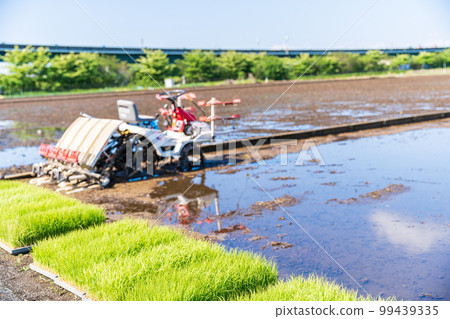 ``Saitama Prefecture'' Minuma Rice Fields Preparing for rice planting 99439335