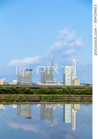 ``Saitama Prefecture'' Minuma Rice Fields Saitama Shintoshin reflected in rice fields during rice planting season 99439403
