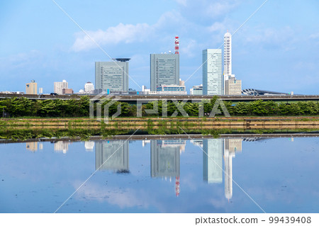 ``Saitama Prefecture'' Minuma Rice Fields Saitama Shintoshin reflected in rice fields during rice planting season 99439408