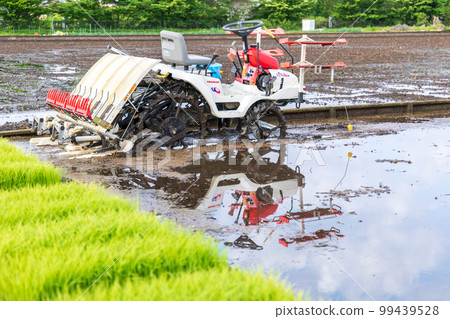 ``Saitama Prefecture'' Minuma Rice Fields Preparing for rice planting ``Saitama Prefecture'' Minuma Rice Fields Preparing for rice planting 99439528