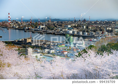 大竹市龜井城蹟的櫻花 99439709