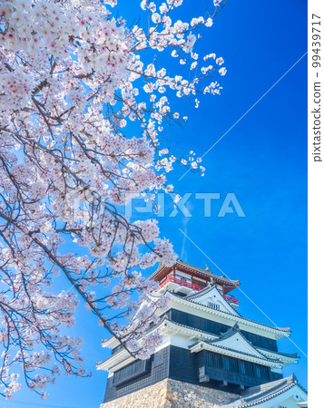 Kiyosu, Aichi in April Kiyosu Castle's castle tower and cherry blossoms 99439717