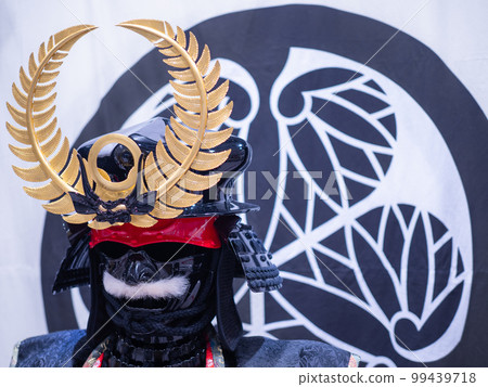 Ieyasu Tokugawa replica armor, helmet, armor Ieyasu Tokugawa replica armor, helmet, armor 99439718