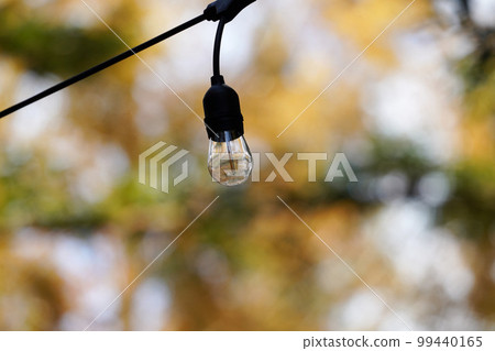 戶外燈泡 99440165