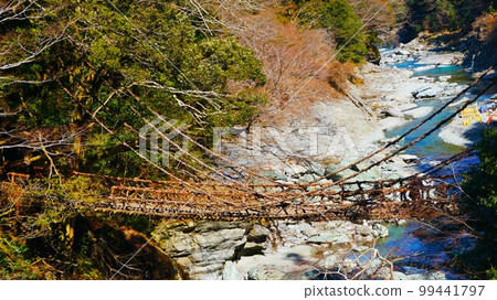 Kazura Bridge in Iya Kazura Bridge in Iya 99441797