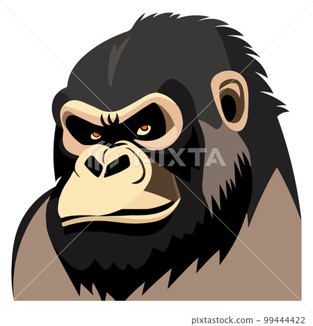 Angry gorilla, Vector illustration on a white background 99444422