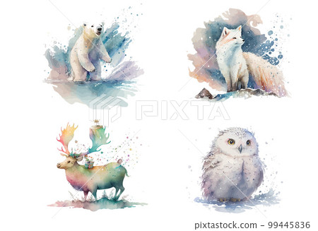 Snowy owl. reindeer and polar bear, arctic fox in watercolor style. Isolated vector illustration 99445836
