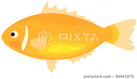 Hanabira Anemone fish Hanabira Anemone fish 99445878