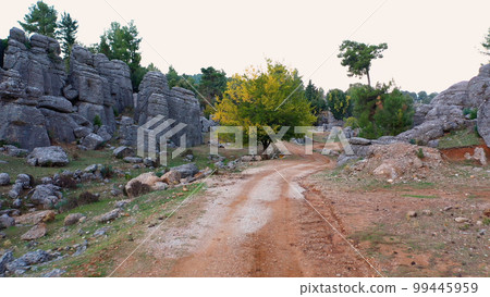 Gray rock formations and coniferous trees along countryside mountain road. Picturesque park with unique granite boulders. 99445959
