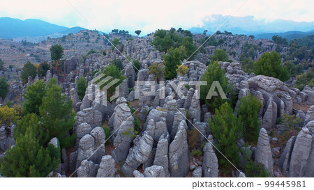 Pine trees grow among granite rock formations at National Park of Manavgat, Turkey. Panoramic aerial view from drone. 99445981