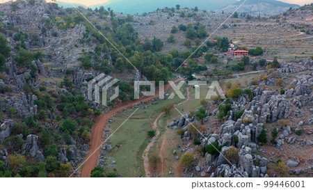 Aerial drone view of mountain valley with picturesque rock formations. Beautiful nature landscape. Aerial drone view of mountain valley with picturesque rock formations. Beautiful nature landscape. 99446001