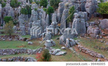 Rocky columns on mountain hill. Beautiful nature landscape with rock formations and evergreen trees. 99446005