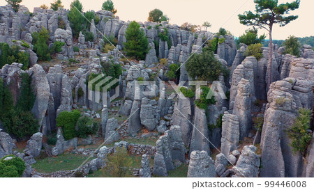 Landscape scenery with gray rock formations and evergreen lushes. Travel concept. 99446008