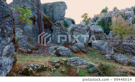 Picturesque rock formations with lush green pine trees at mountain valley. Aerial panoramic view from drone. 99446014
