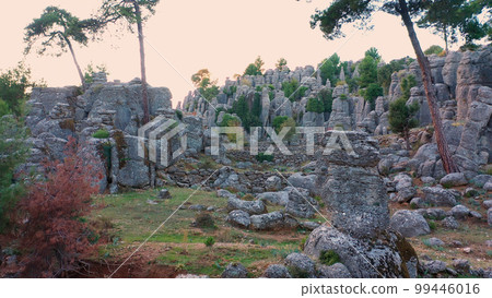 Majestic landscape with stunning gray rock formations and coniferous trees. Mountain valley with unique gray stones. 99446016