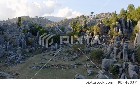 Beautiful nature landscape with rock formations and evergreen trees. Travel concept. 99446037