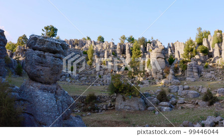 Majestic scenery with rock formations and coniferous trees on a summer day. Beauty of nature. Majestic scenery with rock formations and coniferous trees on a summer day. Beauty of nature. 99446044