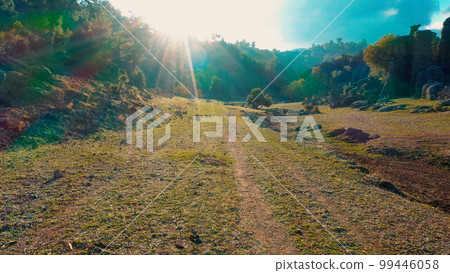 Drone view of beautiful morning sunrise over green mountain valley. Picturesque nature landscape. 99446058
