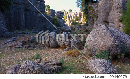 Park with beautiful rock formations and green coniferous trees on a summer day. Spectacular geological formations. Park with beautiful rock formations and green coniferous trees on a summer day. Spectacular geological formations. 99446079