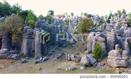 Stunning nature landscape with beautiful rock formations and evergreen plants. Rocky stones background. 99446081