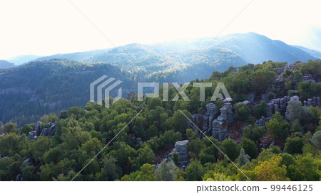 Scenic mountain landscape on a summer day. Forested mountain slopes with rock formations. Aerial view from drone. 99446125