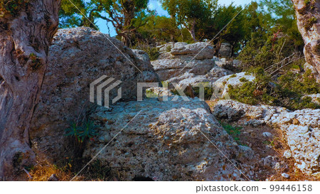 Beautiful landscape with grey rocks with evergreen trees on a summer day. Nature at tropical area. Beautiful landscape with grey rocks with evergreen trees on a summer day. Nature at tropical area. 99446158