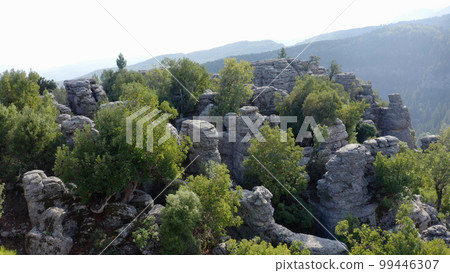 Granite rock formations and green vegetation. View of mountains in the background. Stunning mountains landscape. 99446307