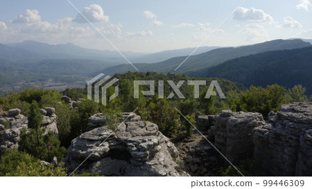 Top view of beautiful grey rock formations among green trees. Panoramic aerial view of mountains and sky on a summer day. 99446309