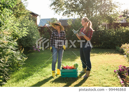Female farmer holding ripe organic vegetables in wooden box in garden. Happy woman gardener harvesting agricultural product for online selling. 99446868