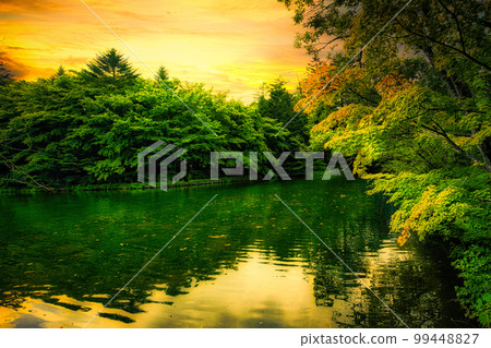 Refreshing summer sunset waterside scenery 99448827