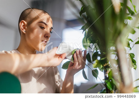 Young woman with cancer taking care of plants in her apartment. 99448869