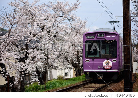 京都嵐電動櫻桃隧道 京都嵐電動櫻桃隧道 99449499