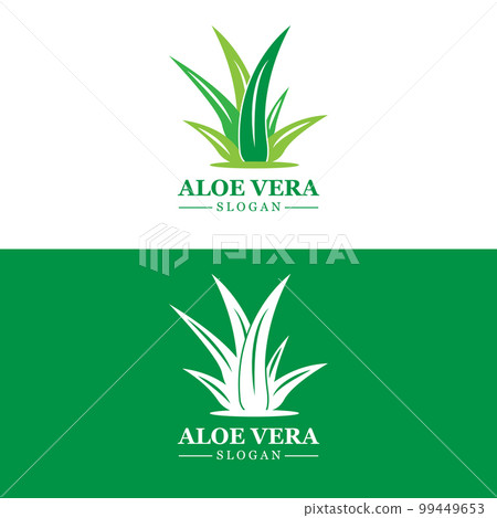 Aloe Vera Logo, Health Leaf Vector, Design Suitable For Beauty Salon, Organic Recycling, Skin Health Leaf 99449653