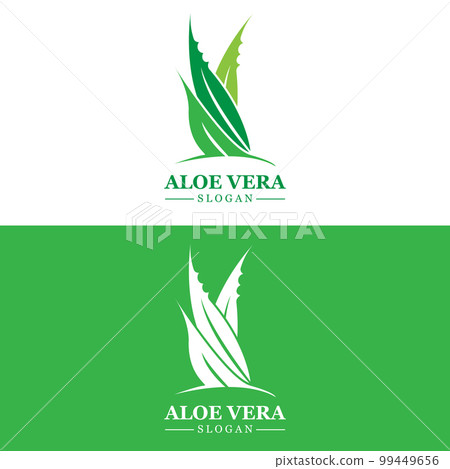 Aloe Vera Logo, Health Leaf Vector, Design Suitable For Beauty Salon, Organic Recycling, Skin Health Leaf 99449656