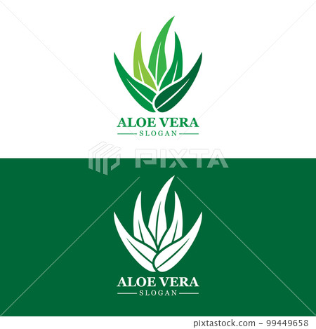 Aloe Vera Logo, Health Leaf Vector, Design Suitable For Beauty Salon, Organic Recycling, Skin Health Leaf 99449658