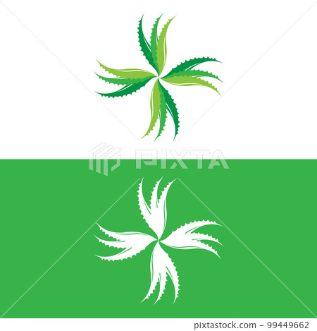 Aloe Vera Logo, Health Leaf Vector, Design Suitable For Beauty Salon, Organic Recycling, Skin Health Leaf 99449662