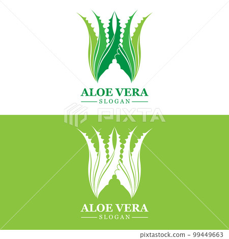 Aloe Vera Logo, Health Leaf Vector, Design Suitable For Beauty Salon, Organic Recycling, Skin Health Leaf Aloe Vera Logo, Health Leaf Vector, Design Suitable For Beauty Salon, Organic Recycling, Skin Health Leaf 99449663