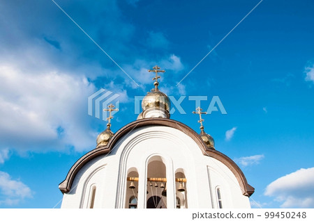 Domes of the Holy Trinity Church, Orenburg, Russia 99450248