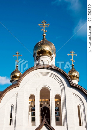Domes of the Holy Trinity Church, Orenburg, Russia 99450250
