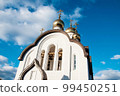 Domes of the Holy Trinity Church, Orenburg, Russia 99450251