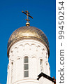 Domes of the Holy Trinity Church, Orenburg, Russia 99450254