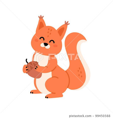 Cute squirrel with nut. Red fluffy squirrel with bushy tail holding acorn 99450388