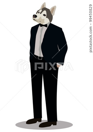 siberian husky in a classic suit with a jacket 99450829