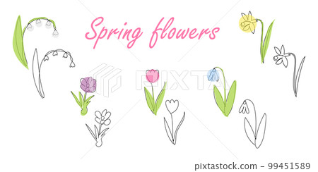 set of spring flowers in lineart style set of spring flowers in lineart style 99451589